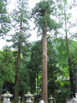 Japon2005 302