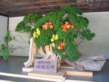 Japon2005 663