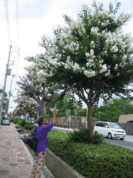 Japon2005 695