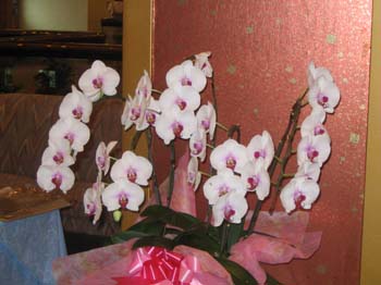Japon2005 052