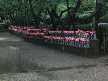 Japon2005 122