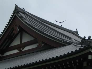 Japon2005 141