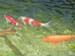 Japon2005 011