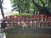 Japon2005 116
