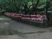 Japon2005 122